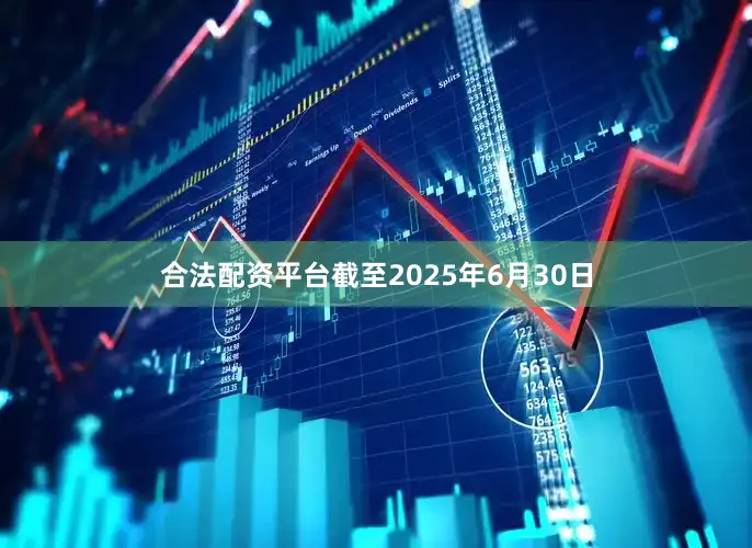 合法配资平台截至2025年6月30日