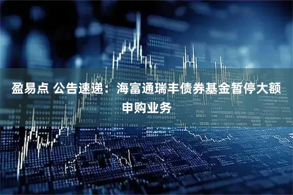 盈易点 公告速递：海富通瑞丰债券基金暂停大额申购业务