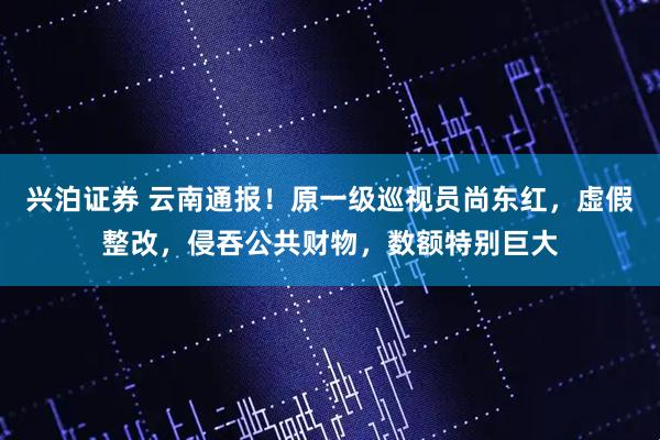 兴泊证券 云南通报！原一级巡视员尚东红，虚假整改，侵吞公共财物，数额特别巨大