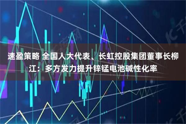 速盈策略 全国人大代表、长虹控股集团董事长柳江:多方发力提升锌锰电池碱性化率