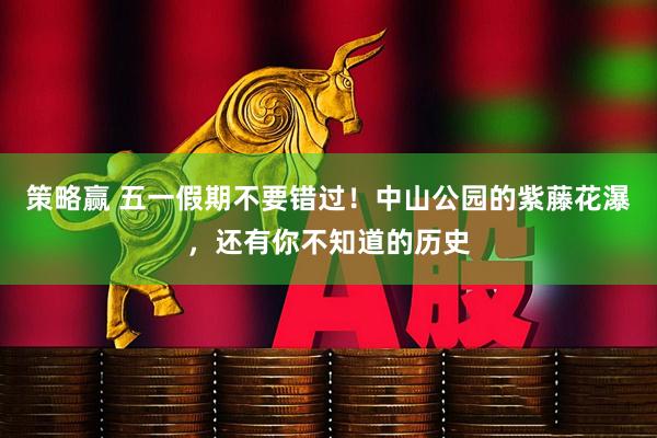 策略赢 五一假期不要错过！中山公园的紫藤花瀑，还有你不知道的历史